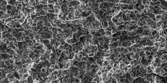 Hydrogen delayed fracture AHSS